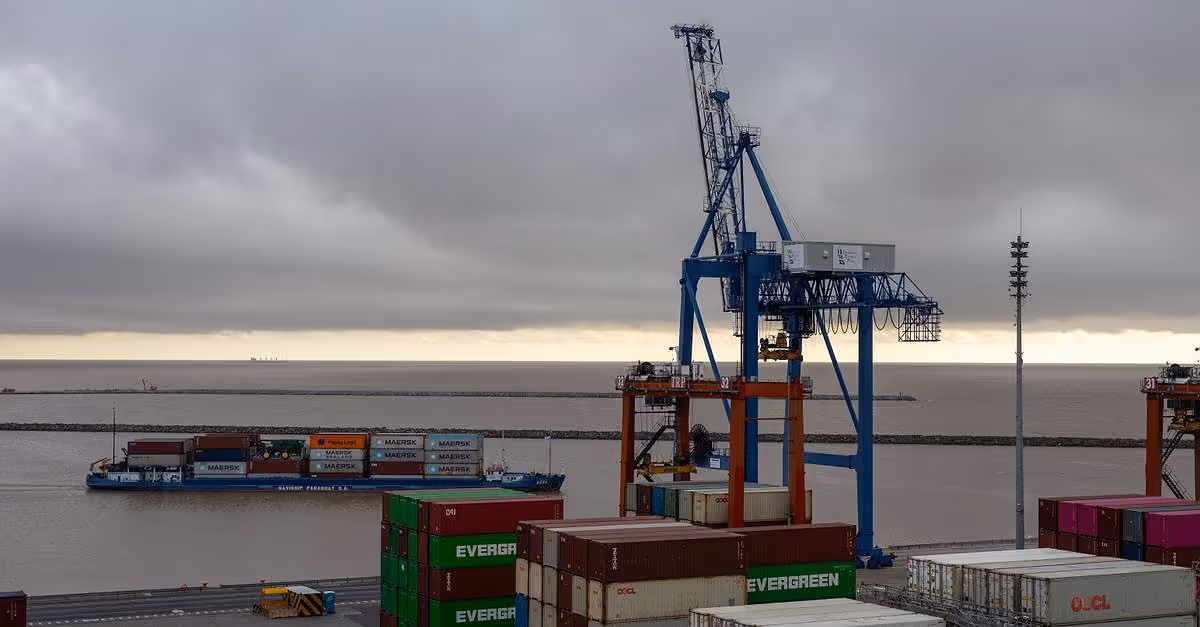 European Logistics Survey 2026: demanda calidad operativa
