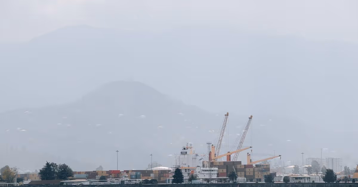 Leoproex: facturación récord de 80 millones de euros en 2026