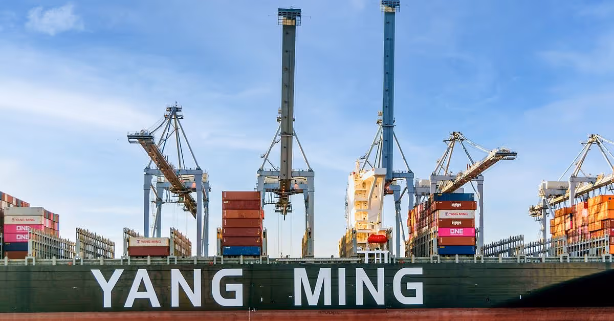 MV Rinaland: nuevo buque de carga seca especializado en hielo