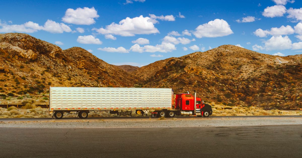 Transporte internacional: camionero sufre golpe de calor